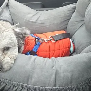 베스트 후기 이미지