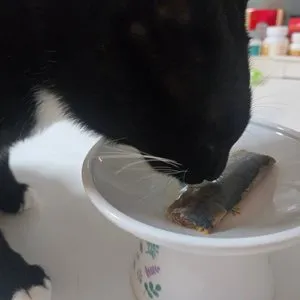 베스트 후기 이미지