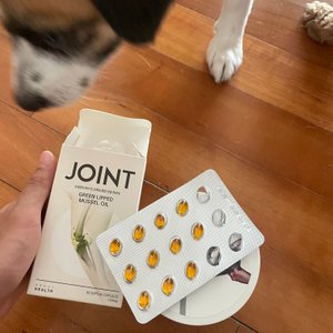 베스트 후기 이미지