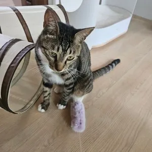 베스트 후기 이미지