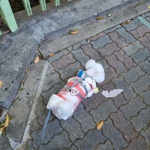 베스트 후기 이미지