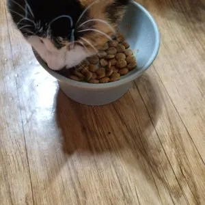 베스트 후기 이미지