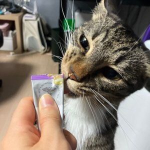 베스트 후기 이미지