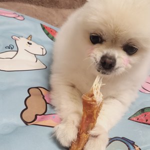 베스트 후기 이미지
