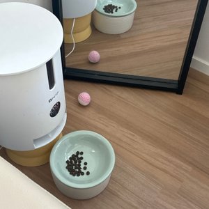 베스트 후기 이미지