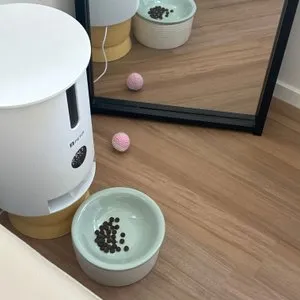 베스트 후기 이미지