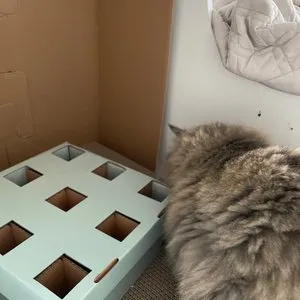 베스트 후기 이미지