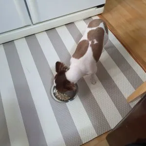 베스트 후기 이미지