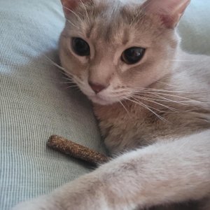 베스트 후기 이미지