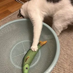 베스트 후기 이미지