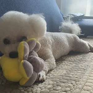 베스트 후기 이미지