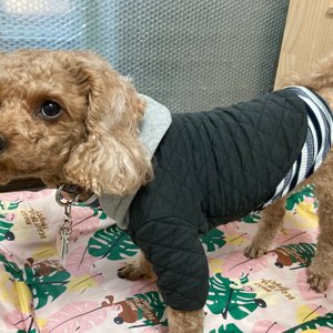 베스트 후기 이미지