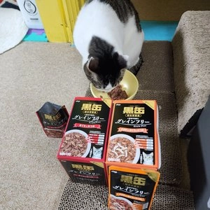 아이시아 캣 흑관 참치&가다랑어 닭가슴살 토핑 젤리타입 파우치 70g 베스트 후기 이미지