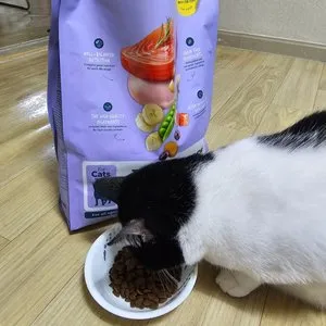 베스트 후기 이미지