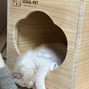 베스트 후기 이미지