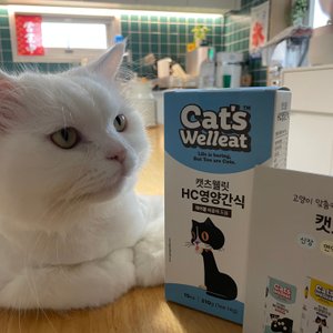 베스트 후기 이미지