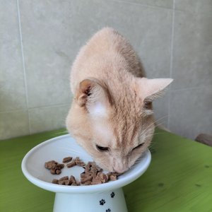 베스트 후기 이미지