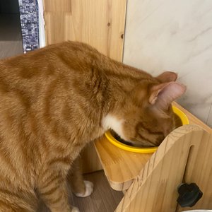 베스트 후기 이미지