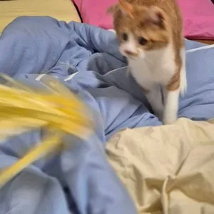 베스트 후기 이미지