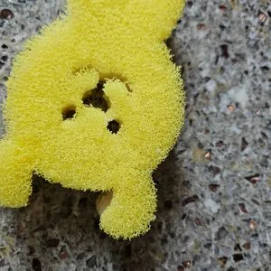 베스트 후기 이미지