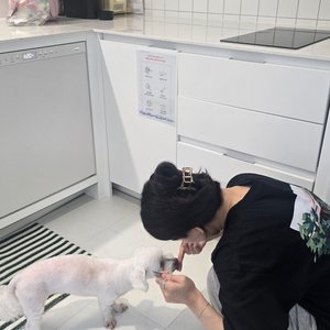 베스트 후기 이미지