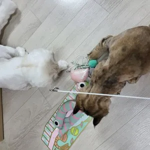 베스트 후기 이미지