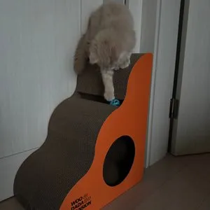 베스트 후기 이미지