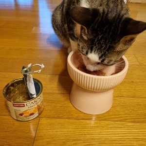 베스트 후기 이미지