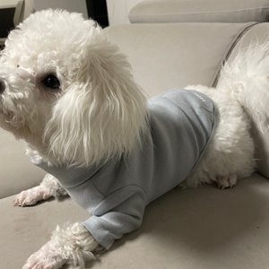 베스트 후기 이미지