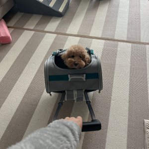 베스트 후기 이미지