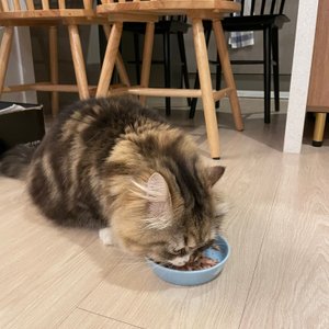 베스트 후기 이미지
