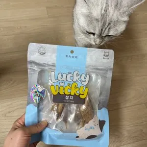 베스트 후기 이미지