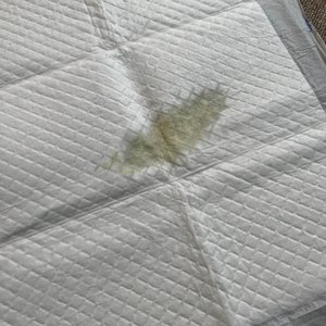 베스트 후기 이미지
