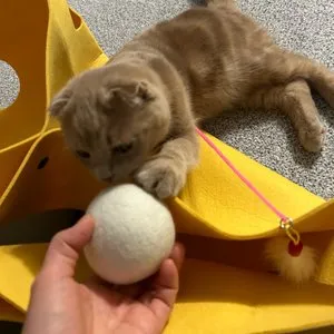 베스트 후기 이미지