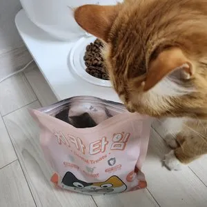 베스트 후기 이미지