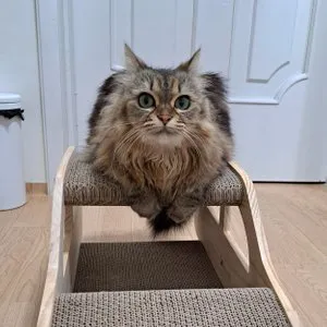 베스트 후기 이미지