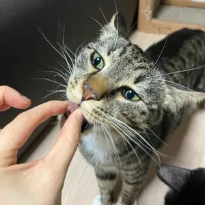 베스트 후기 이미지