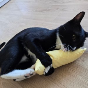 베스트 후기 이미지