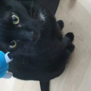 베스트 후기 이미지