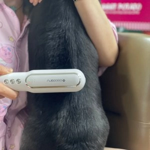 [무료배송] 코코시루 펫 미니 드라이기 C700PD 베스트 후기 이미지