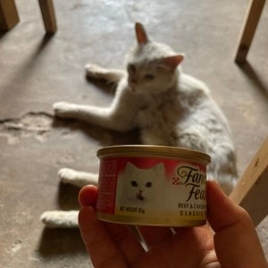 [24개] 퓨리나 캣 팬시피스트 비프&치킨 캔 85g 베스트 후기 이미지