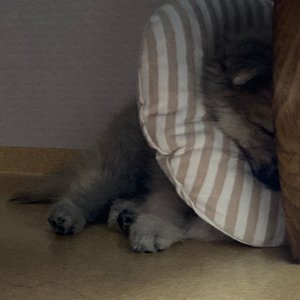 베스트 후기 이미지