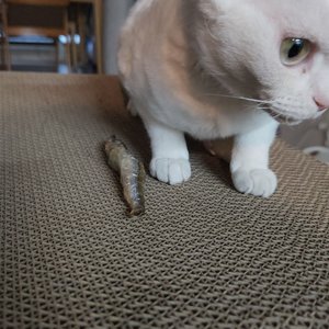 베스트 후기 이미지