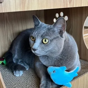 베스트 후기 이미지