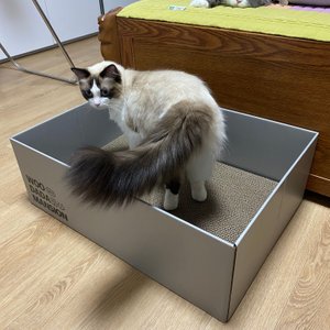 베스트 후기 이미지