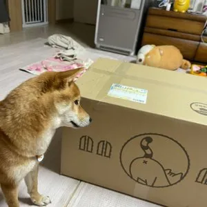 베스트 후기 이미지