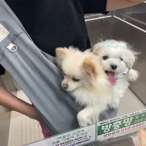 베스트 후기 이미지