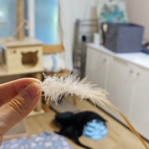 베스트 후기 이미지