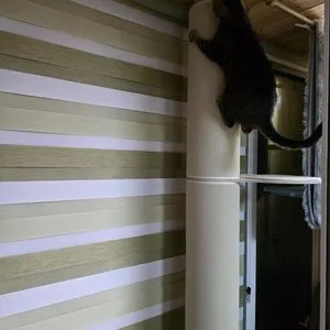 베스트 후기 이미지