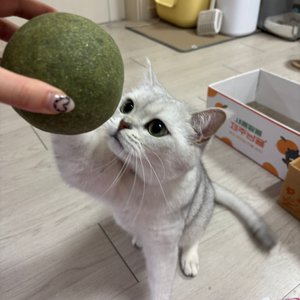 베스트 후기 이미지